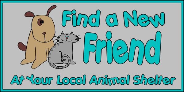 Find a New Friend